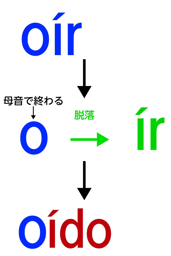 oírで過去分詞を解説