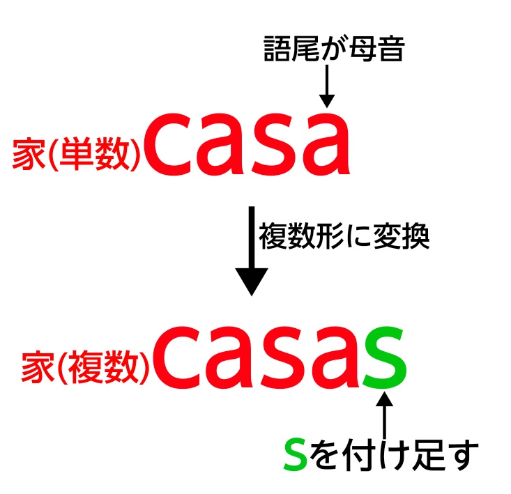 「casaを例に複数形変化」の図