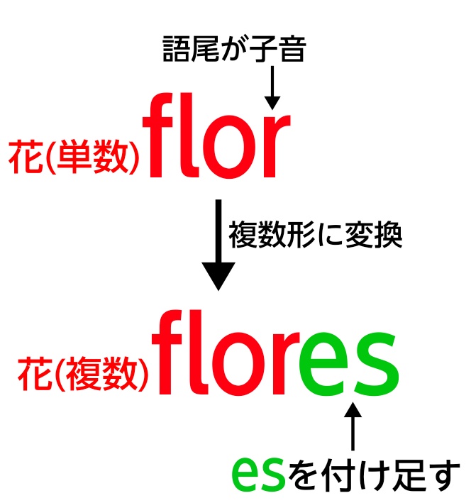 「florを例に複数形変換」の図