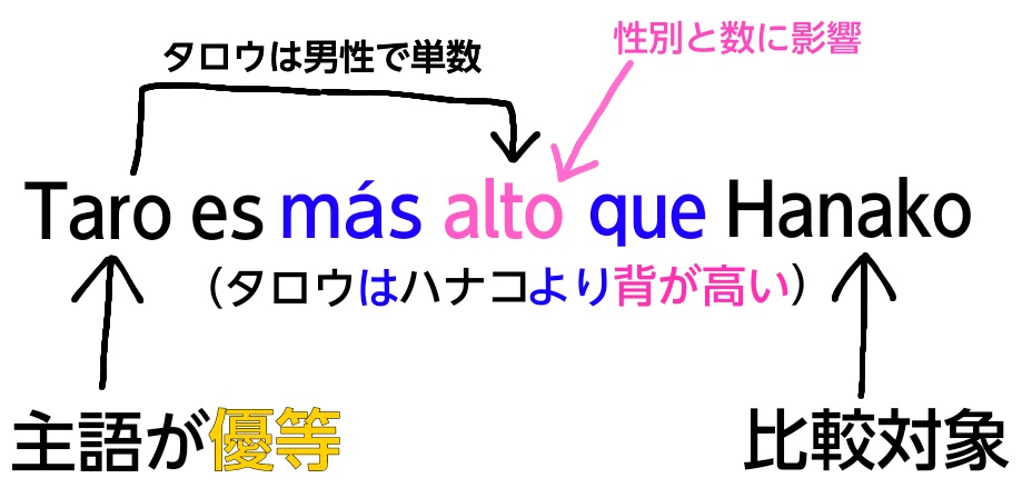 スペイン語の優等比較(形容詞)の単数例文の解説図