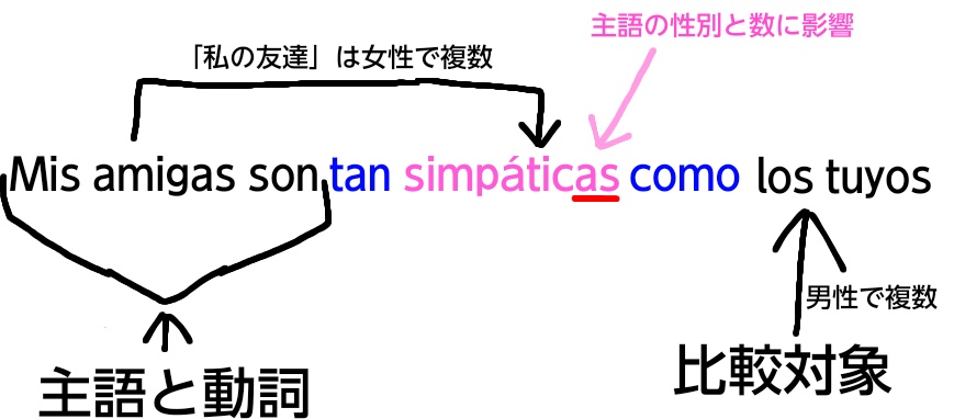 スペイン語の同等比較(形容詞)の複数例文の解説図