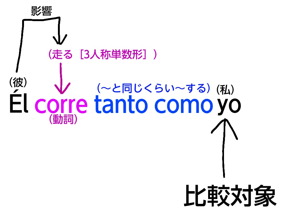 スペイン語の同等比較(動詞)の解説図