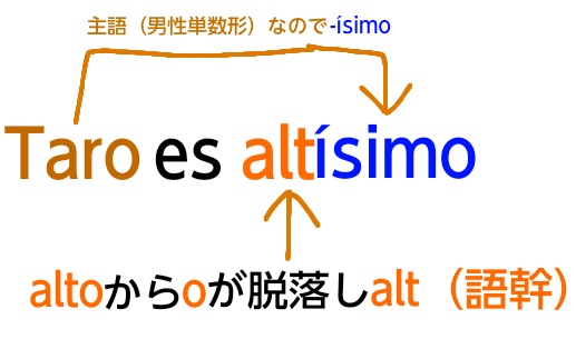 スペイン語の絶対最上級の単数形解説図